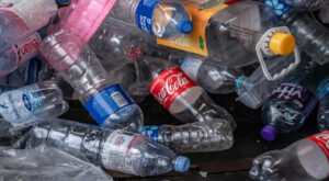 bottles