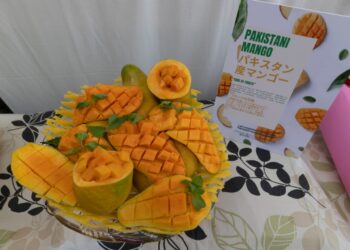 Under the vibrant theme “Flavours of Pakistan,” the Pakistan Food Festival has emerged as one of the most engaging culinary showcases at World Expo 2025 Osaka.