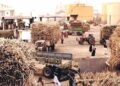 Sugar cartel undermines Pakistan’s economic foundations.