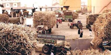 Sugar cartel undermines Pakistan’s economic foundations.