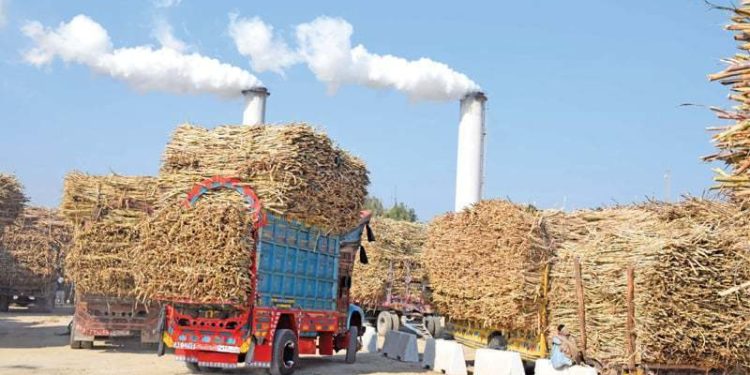 Ghee mafia pressures Govt as IMF targets sugar cartel.