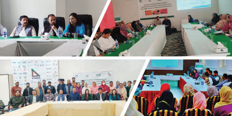 TDAP Organizes National Exporters Training Program in Gilgit, Hunza, and Skardu (16–19 July 2025)