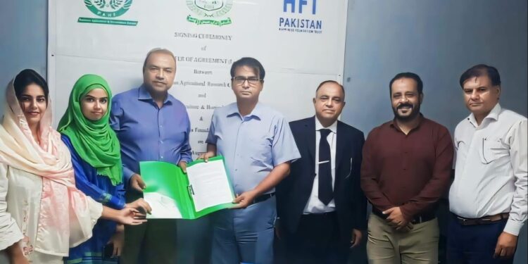 Mushroom cultivation in Pakistan can not only be a source of income for farmers, but also earn a significant amount of foreign exchange from its export. Khalid Ijaz Qureshi