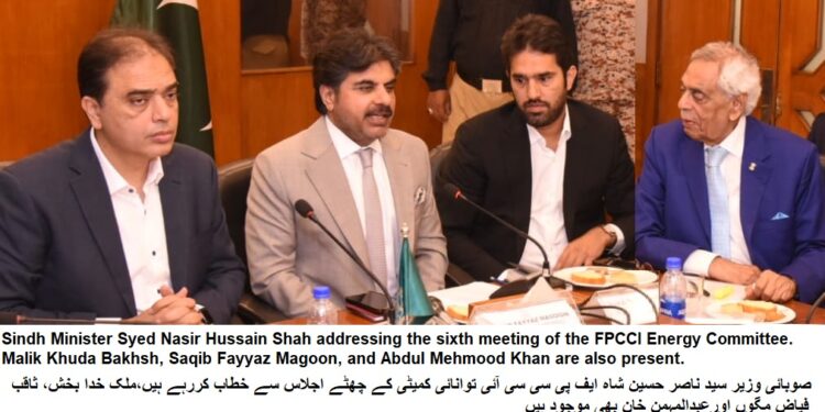 Establishment of EV stations in Sindh by Malik Group is a welcome step, Syed Nasir Hussain Shah
