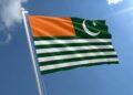 Overseas Kashmiris will hold a global Zoom conference on Sunday to discuss the latest developments in Azad Kashmir.