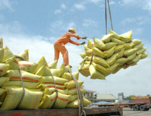 rice-export-vietnam