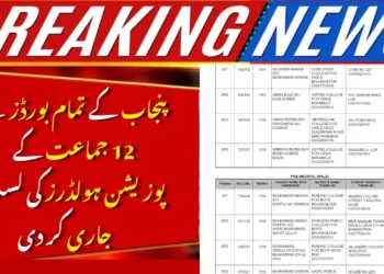 Punjab Boards Declare Class XII Results for 2025