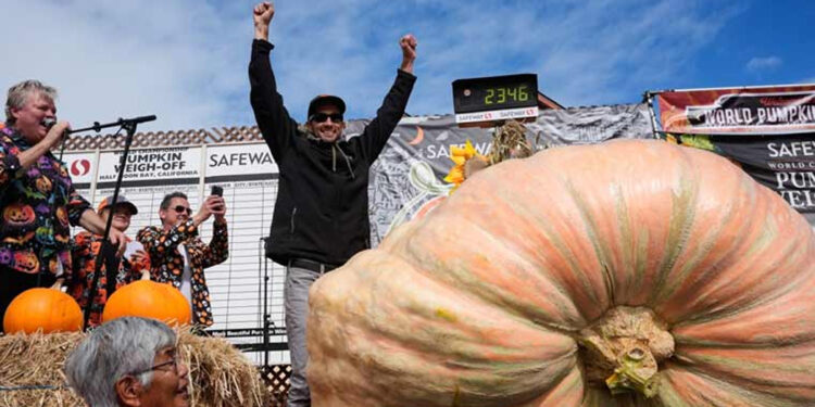 Gardening enthusiast wins heaviest pumpkin growing competition