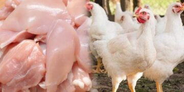 The Punjab government has imposed a ban on the sale of pre-slaughtered chicken across the province.