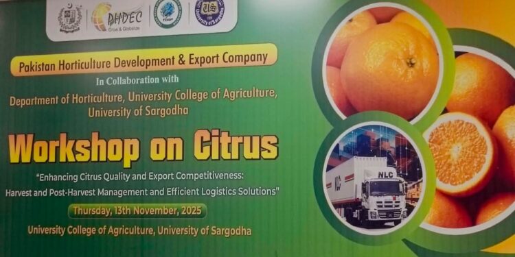PHDEC Organized Workshop in Sargodha on Enhancing Citrus Quality and Export Competitiveness