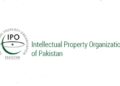 The ongoing administrative mismanagement and blatant violations of rules within the Intellectual Property Organization (IPO) have severely damaged the institution’s credibility.
