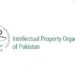 The ongoing administrative mismanagement and blatant violations of rules within the Intellectual Property Organization (IPO) have severely damaged the institution’s credibility.