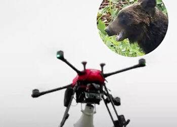 Japan deploys ‘barking drones’ to keep bears away from population
