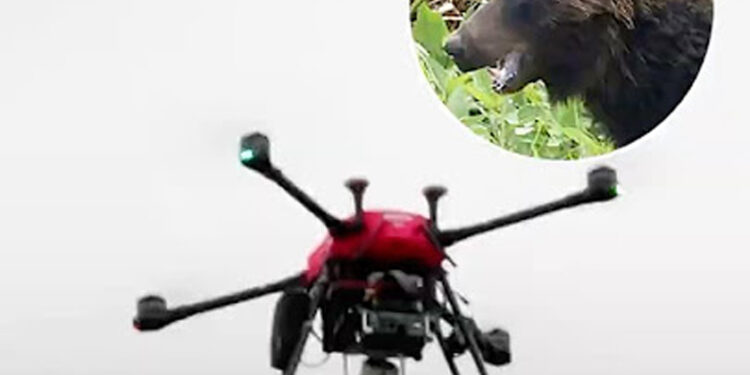 Japan deploys ‘barking drones’ to keep bears away from population