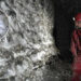 Possibly the world’s largest spider web discovered on the Greece-Albania border.
