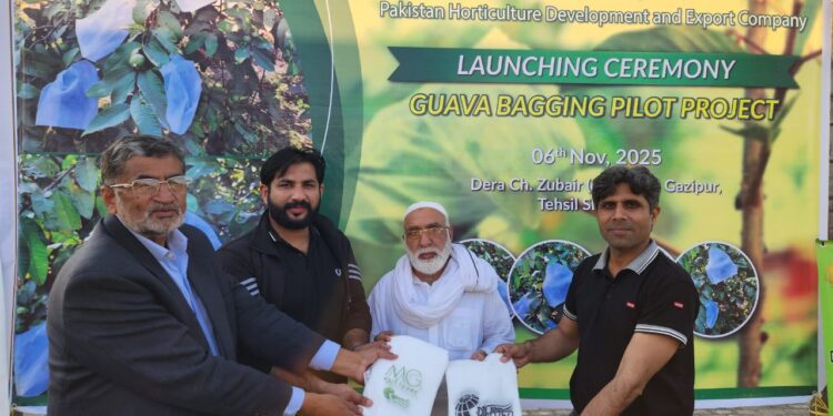 PHDEC Launched Guava Bagging Pilot Project