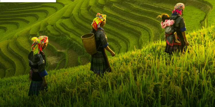 Interconnected sustainability and financial information vital for  resilient organisations says new report