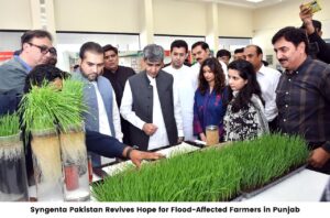 Picture English - Syngenta Pakistan Revives Hope for Flood-Affected Farmers in Punjab