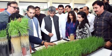 Syngenta Pakistan Revives Hope for Flood-Affected Farmers in Punjab