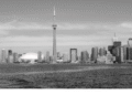 IBA Toronto – what you may have missed or would like to see again from the 2025 Annual Conference