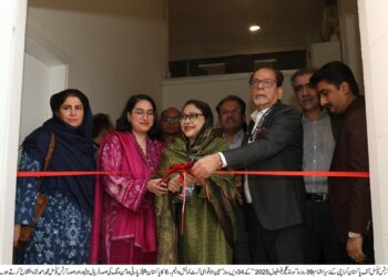 Global Traditions Illuminate Karachi’s World Culture Festival