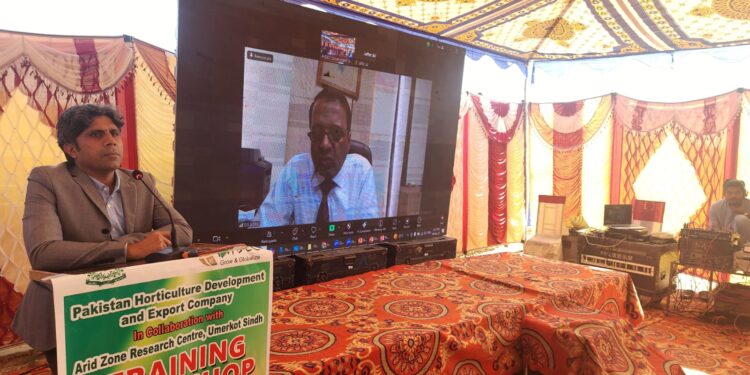 PHDEC’s Hands-On Training Workshop on Solar Tunnel Dryers to Produce Aflatoxin-Free Export-Quality Red Chillies in Kunri, Sindh