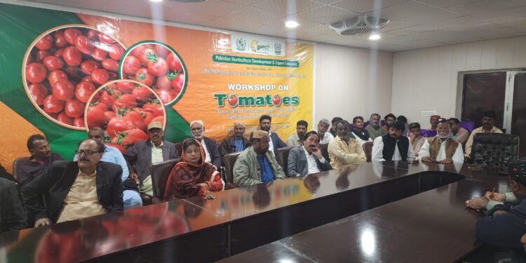 Pakistan Horticulture Development & Export Company (PHDEC) in collaboration with National Sugarcane and Horticulture Research Institute (NSHRI, PARC)