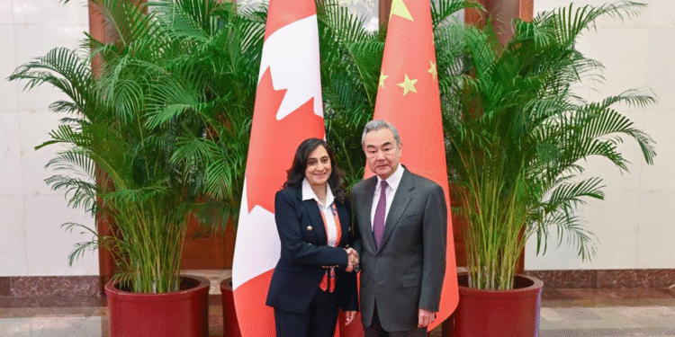 CGTN: How China, Canada promote steady, solid and sound development of bilateral ties under new circumstances