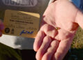 Family’s Fortune Unravels as they Set Out on Treasure Hunt.