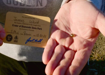 Family’s Fortune Unravels as they Set Out on Treasure Hunt.