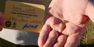 Family’s Fortune Unravels as they Set Out on Treasure Hunt.