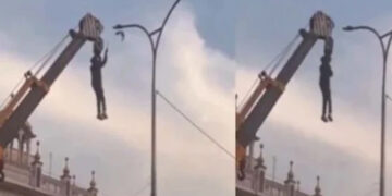 Young hero risks his life to save innocent bird; Video goes viral.