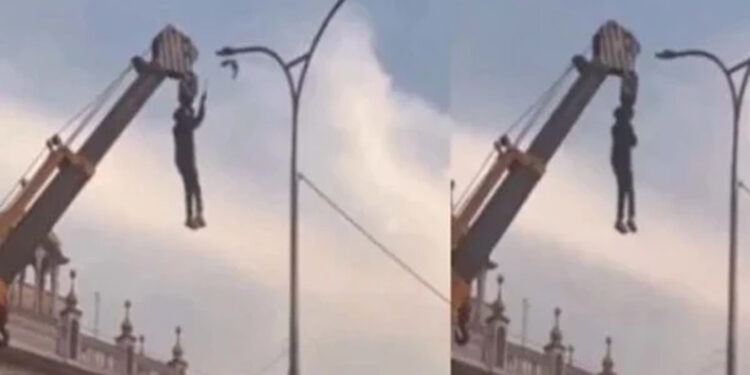 Young hero risks his life to save innocent bird; Video goes viral.