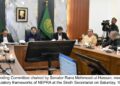 Senate committee hears Rs2.2tn charged to public for unused power capacity