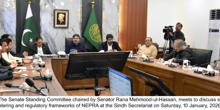 Senate committee hears Rs2.2tn charged to public for unused power capacity