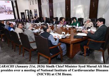 Sindh Chief Minister Syed Murad Ali Shah presides over a meeting