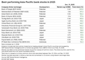 Smaller Pakistani banks among top return performers in Asia-Pacific: S&P Global