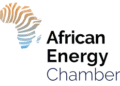 Energy: Shifting Global Agendas Are Slowing African Projects – Mozambique Liquefied Natural Gas (LNG) Shows the Cost