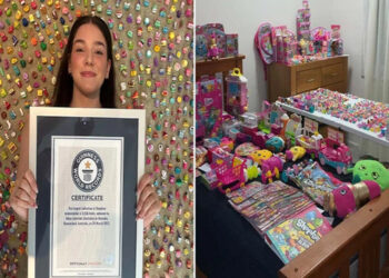 Woman sets record with huge collection of Shopkins toys.