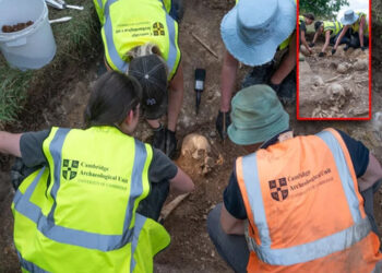 Grave full of mutilated bodies discovered.