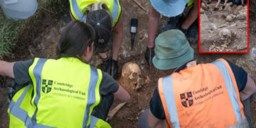 Grave full of mutilated bodies discovered.