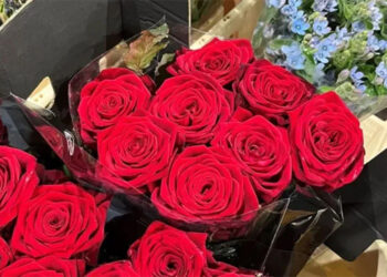 Valentine’s Day preparations in full swing in the UK, demand for flowers and bouquets increases.
