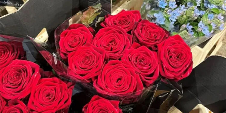 Valentine’s Day preparations in full swing in the UK, demand for flowers and bouquets increases.