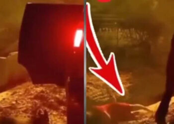 The truth behind the viral video of a girl being thrown into a drain has been revealed.