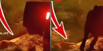 The truth behind the viral video of a girl being thrown into a drain has been revealed.