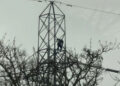 1 person climbed an electricity pole, power to 20,000 homes cut off.