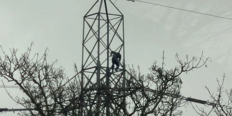 1 person climbed an electricity pole, power to 20,000 homes cut off.