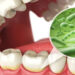 Don’t underestimate oral germs, research reveals serious findings.