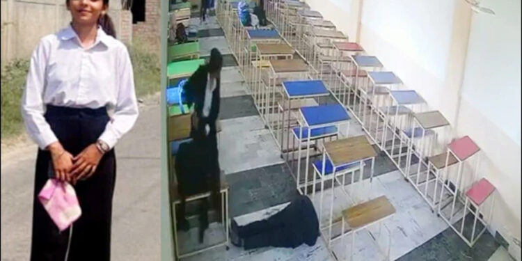 Punjab Law College: Student commits suicide by shooting girl in class, video goes viral.