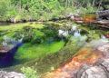 The river in Colombia that changes colors every year.